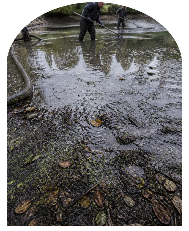 Очистка пруда в Щербинке от ила мусора и водорослей с вывозом